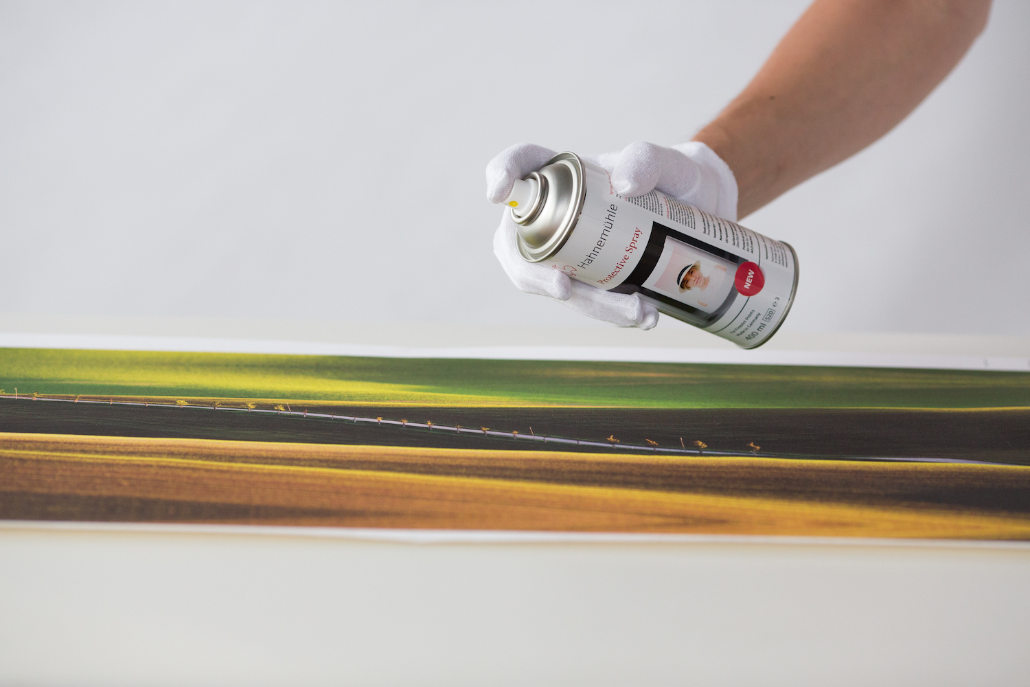 Obraz na plátně ochrana