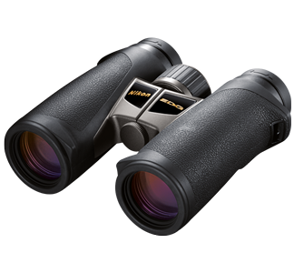 EDG 8x32